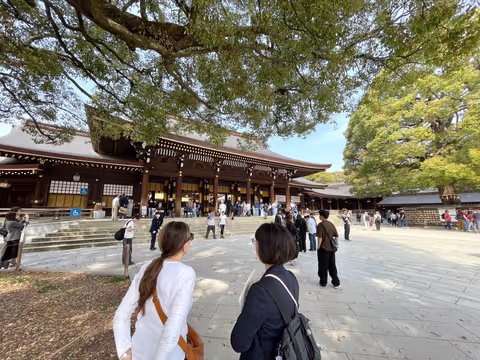 Tokyo Westside Half-Day: A Taste of History and Pop Culture