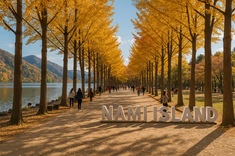 Seoul Day trip to Nami Island Gyeonggi-do Private Sedan Taxi Tour with Simple English