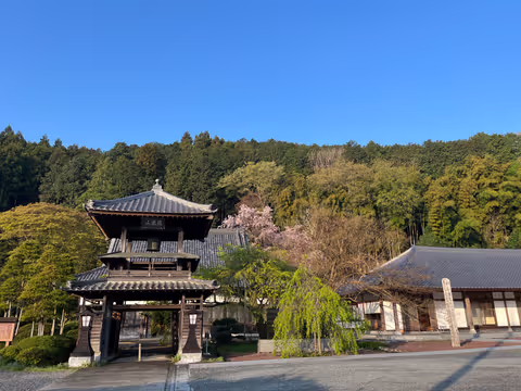 A day in nature：Walking Ogawa