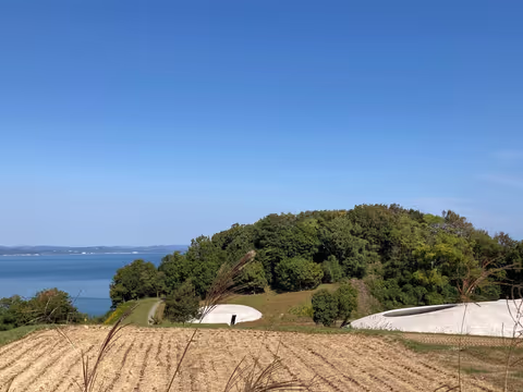 Teshima and Inujima Island Art Tour