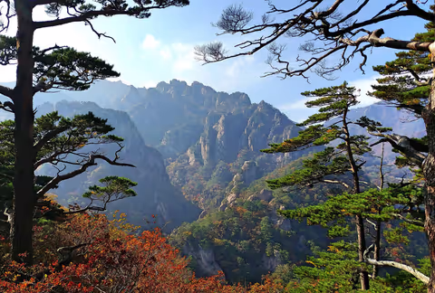 Seoul Day trip to Seoraksan and Sokcho Private Sedan Taxi Tour (Gangwon-do)