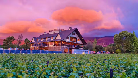 Santiago | Wine tasting tour and Andes Sunset Experience