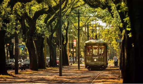 Private New Orleans City Tour - Half Day