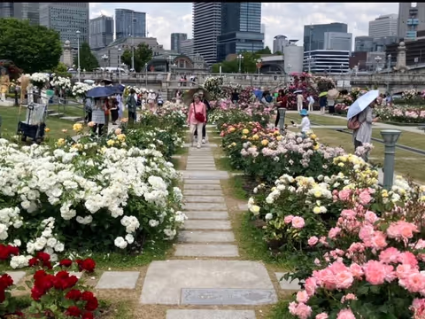 Osaka Gourmet City, feasts for Eyes & Mouth