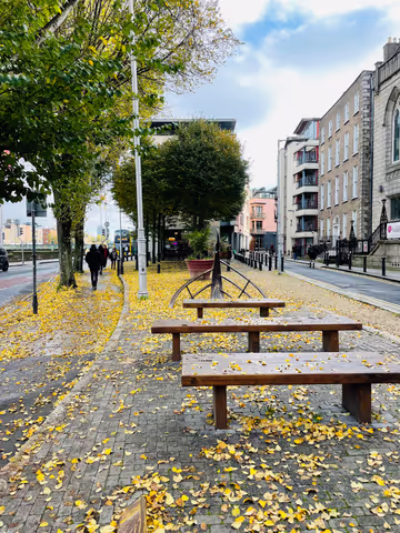 Car Transfer: Dublin to or from Galway private Daytrip by Car (up to 8pax)