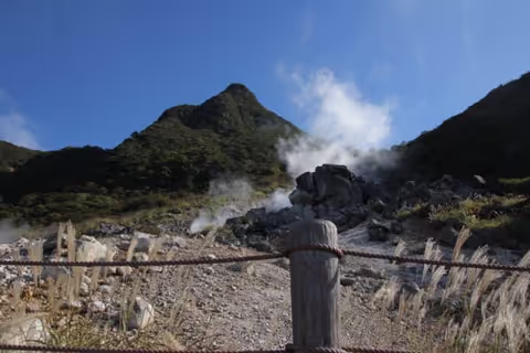 Hakone sightseeing with a private chartered van (1-12pax)