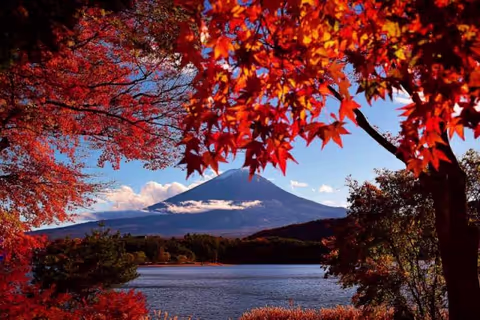 Mt. Fuji sightseeing with a private chartered van (1-12pax)