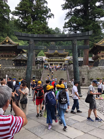 Nikko sightseeing with a private chartered van (1-12pax)