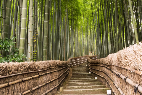 Arashiyama Morning Highlights: Bamboo, Temples & Scenic Views