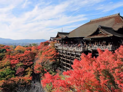 Kyoto the Amzing city
