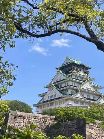 Osaka visiter "le ventre du Japon" -Tour en Français
