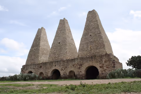 MINERAL DE POZOS FROM SAN MIGUEL DE ALLENDE (SEDAN 1-2 PAX)