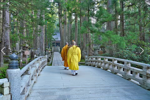 A Journey to Koyasan – The Heart of Japanese Buddhism