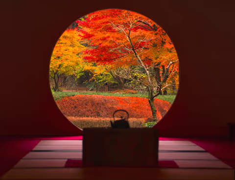 Kamakura Full Day Car Tour by Private Car & Matcha Experience Option