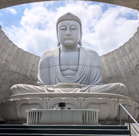 Serenity, Skyscrapers & Sips: Hill of the Buddha, JR Tower 38 & Craft Sake Tour