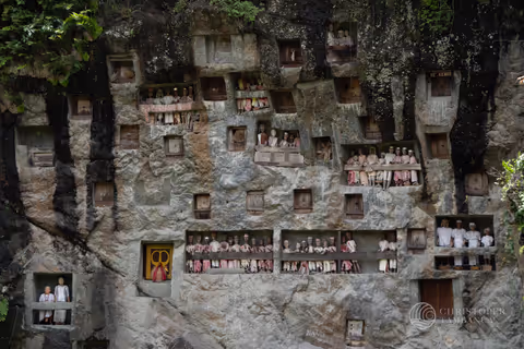 4 Day Toraja Tour from Makassar