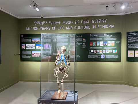 Addis Ababa Cultural & Historical Experience