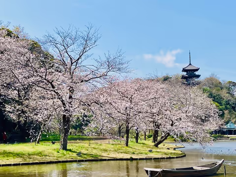 Yokohama East Meets West Full Day Private Car Tour with Chinese Food & Pastry