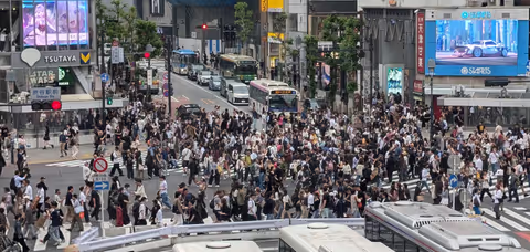 Tokyo's Modern Hilights: Shibuya, Harajuku and Shinjuku