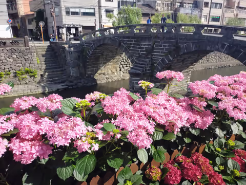 Hydrangeas as the city flower & a hidden Garden in Nagasaki
