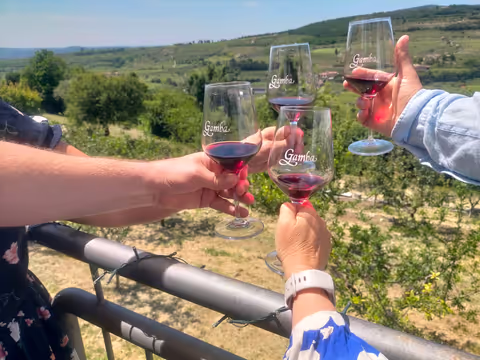 Amarone wine tasting in Valpolicella and walking tour of Verona