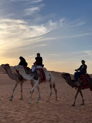 Ghardaia Gems & Desert Rush : Camel & ATV Adventure