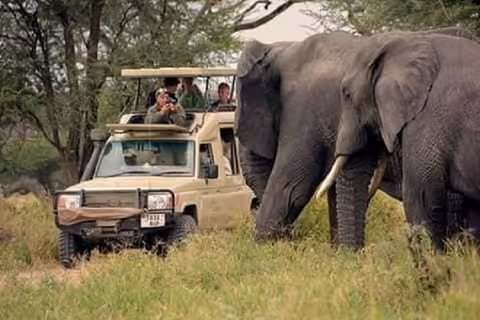CLASSIC TANZANIA SAFARI 4 DAYS