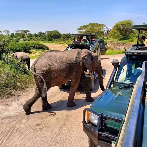SAFARI FOOTPRINT 5 DAYS