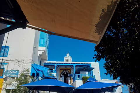 One day to see the ruins of Carthage and the Medina of Tunis