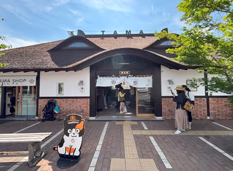 Meet the cat stationmasters in idyllic Wakayama!