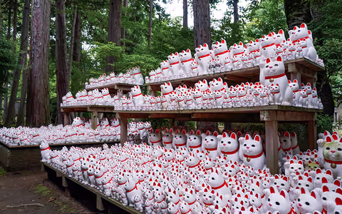 Lucky Cat (Gotokuji temple) and Shimokitazawa tour
