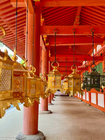 Nara Day Trip : Giant Bhudda, Friendly Deer, Timeless Charm & A Craft to Take Home