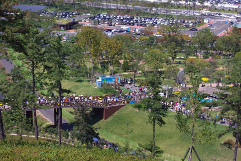 Yeosu & Suncheon National Garden Private Tour