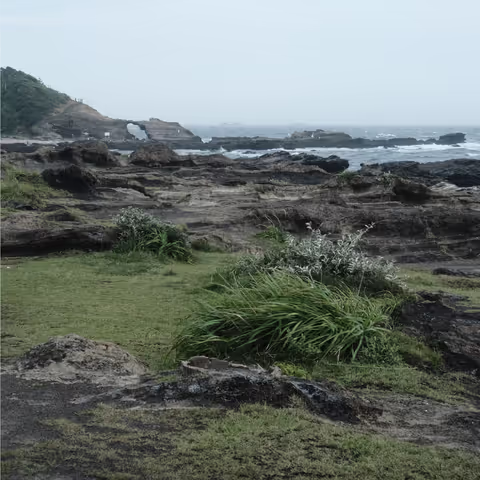 Retro Harbor & Island Escape from Tokyo – Misaki & Jogashima