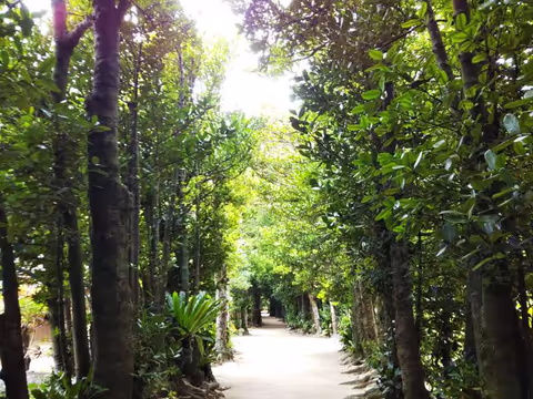 Churaumi aquarium and Sunset beach