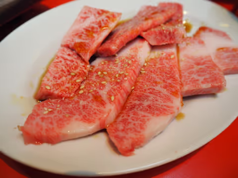 Osaka Local Street Food Tour