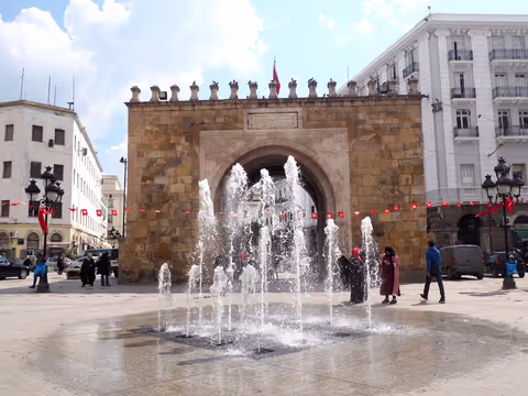 Medina Carthage Sidi bou said in Car/Van/Coach (up to 15 pax+)
