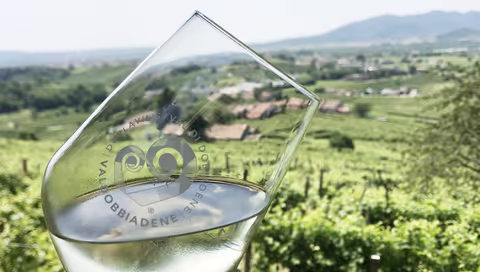 Prosecco Hills Experience with wine guide in Mercedes car or van (up to 7 pax)