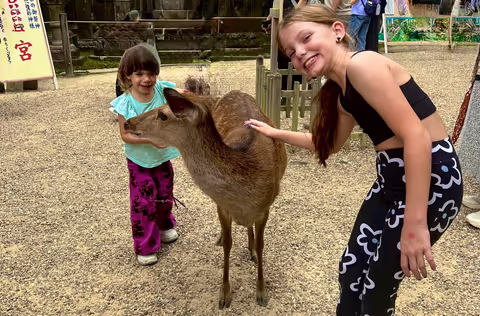 Early Bird Deer Nara Tour