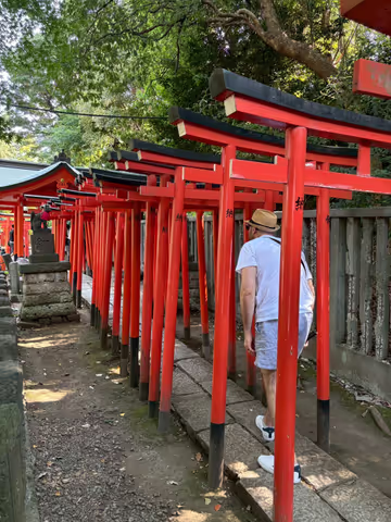 Tokyo Flavors & Culture Drive: From Tsukiji Market to Yanaka’s Retro Streets