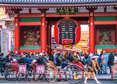 Tokyo Welcome/Farewell Drive Tour: Private Airport Transfer with Scenic Stops