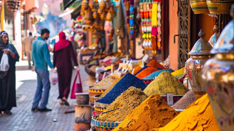 Half-day guided city tour of Marrakech