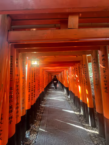 Kyoto Tour with Private Car