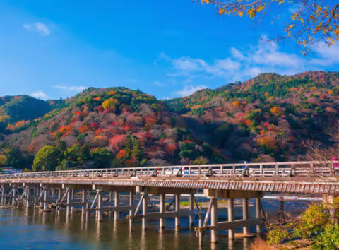 Kyoto Arashiyama Bamboo Forest & Tenryu-ji Temple Walking Tour with Local Food