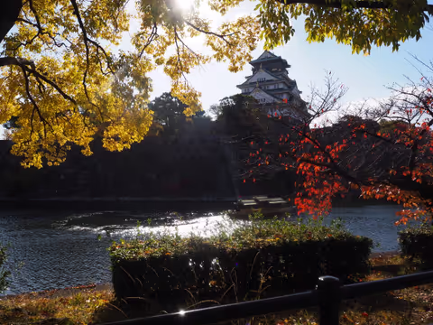 Osaka Castle Morning Walk