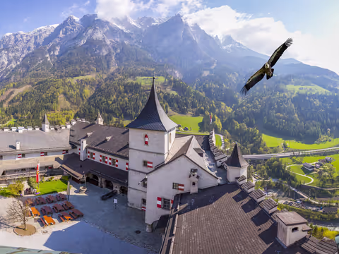 From Prague to Lake Bled: A Journey Through Mountains and Castles Car/Van (up to 8 pax)