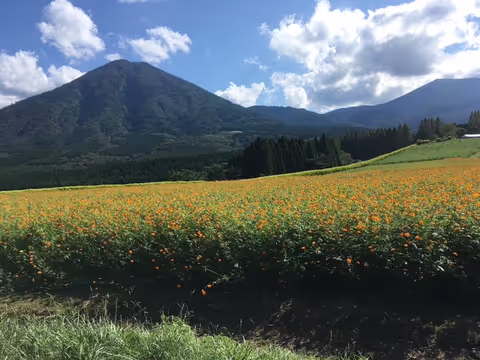 Kirishima: Ikoma Plateau and the Ebino Volcanic Area