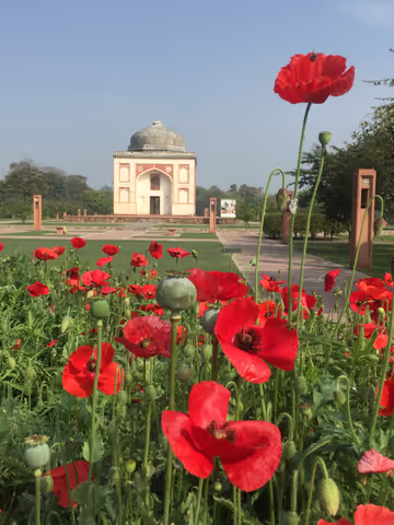 GARDENS with MUSEUMS @ LUTYEN'S DELHI