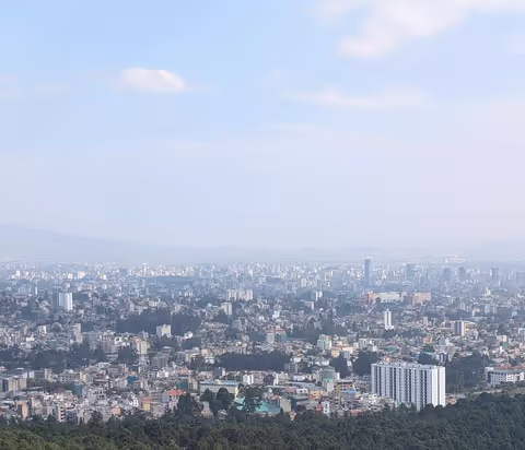 Addis Ababa: City Tour with Entoto Park & Museums