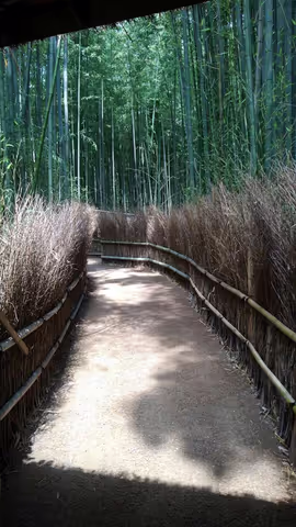 Charming must -see in north west area of Kyoto city